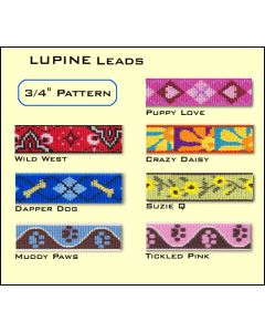 3/4" wide 4-6' long Padded Handle Dog Lead