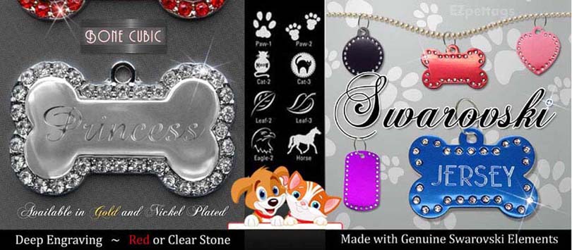 Stainless Steel Simple Pet ID Engraved Dog Name Tag in Unique Font 